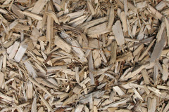 biomass boilers Treesmill