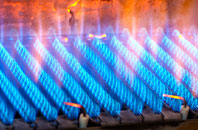 Treesmill gas fired boilers