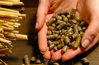Treesmill pellet boiler